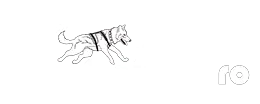 Mantrailing